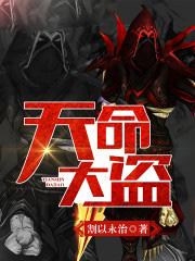 天命大盗