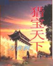 猎宝天下