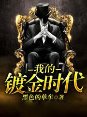 我的镀金时代