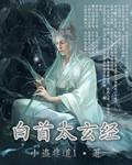 白首太玄经