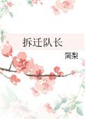 拆迁队长