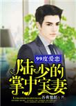 99度爱恋：陆少的掌中宝妻