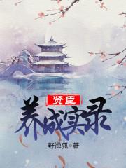 贤臣养成实录