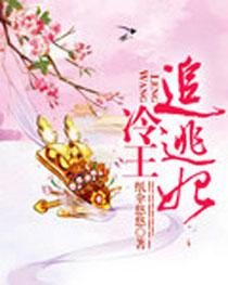 冷王追逃妃