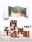 至尊透视眼