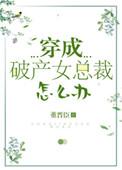 穿成破产女总裁怎么办