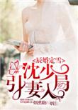 辰婚定雪：沈少引妻入局