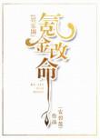 氪金改命