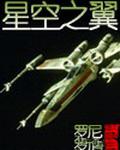 星空之翼