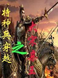 特种兵穿越之大宋亲王