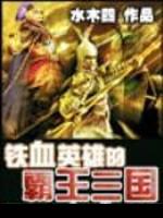 铁血英雄的霸王三国