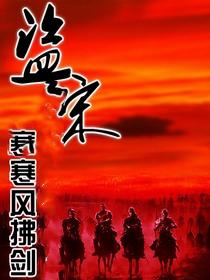 盗宋