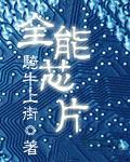 全能芯片