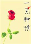 一见钟情