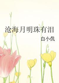 沧海月明珠有泪