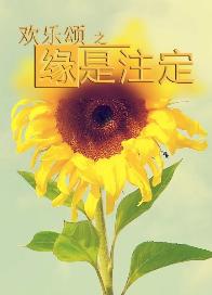 （欢乐颂同人）欢乐颂同人之缘是注定