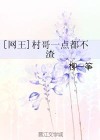 （网王同人）[网王]村哥一点都不渣
