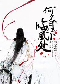 何人月下临风处