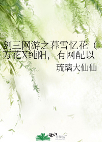 剑三网游之暮雪忆花