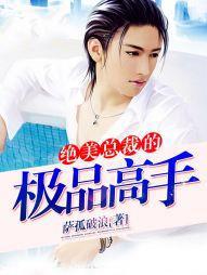 绝美总裁的极品高手