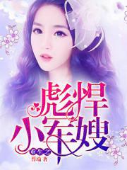 重生之彪悍小军嫂