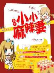 重生小小麻辣妻