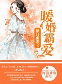 豪门盛宠之暖婚霸爱