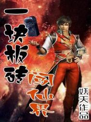 一块板砖闯仙界