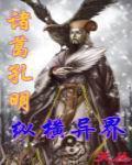 诸葛孔明纵横异界