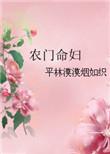农门命妇