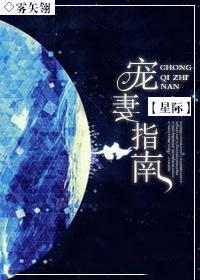 宠妻指南