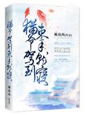 猫爷驾到束手就寝